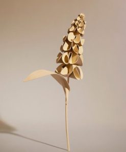 Mowear.shop0fdb8f38f1 1