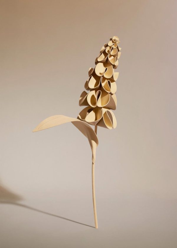 Mowear.shop0fdb8f38f1 1