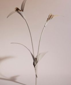 Mowear.shop175beefd4a 1