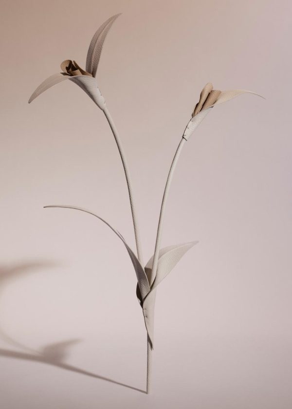 Mowear.shop175beefd4a 1