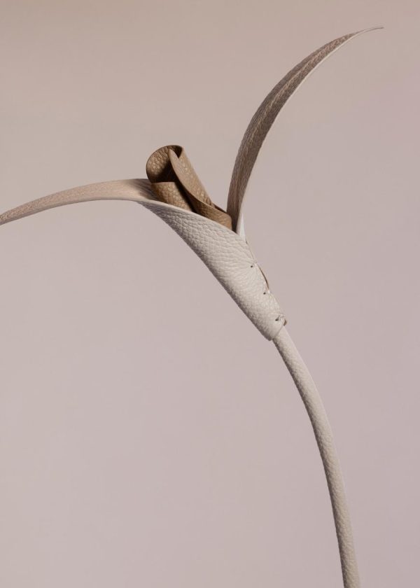 Mowear.shop175beefd4a 2