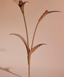 Mowear.shop19ad25e39c 1