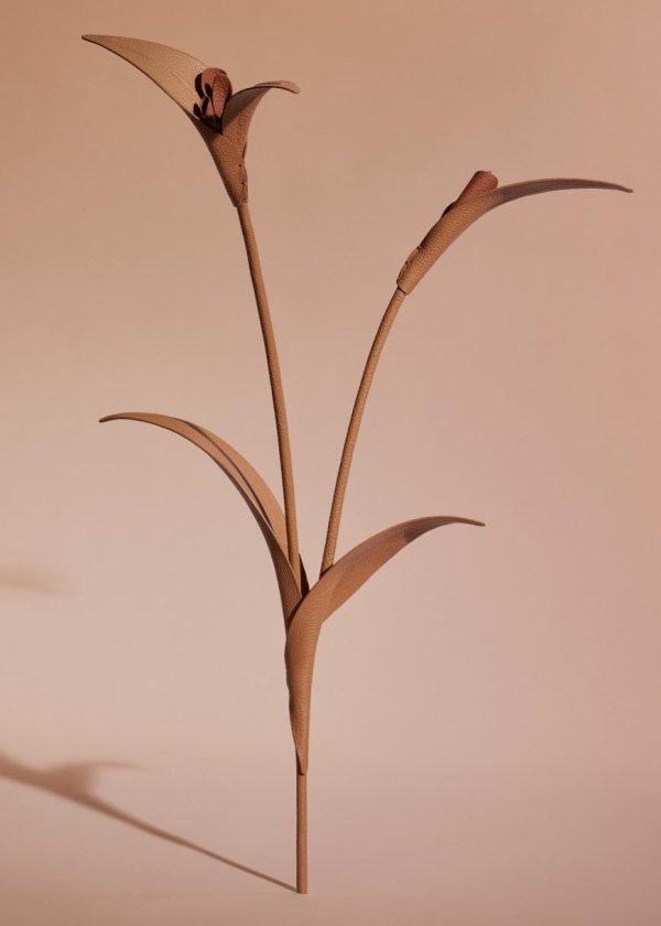 Mowear.shop19ad25e39c 1