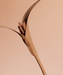 Mowear.shop19ad25e39c 2