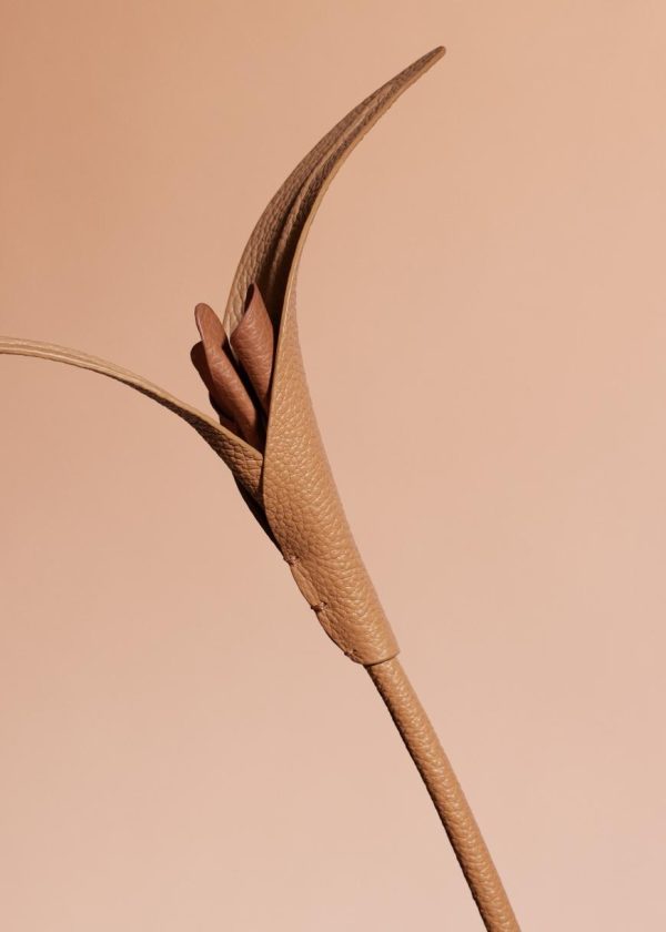 Mowear.shop19ad25e39c 2