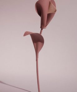 Mowear.shop20a2042645 1