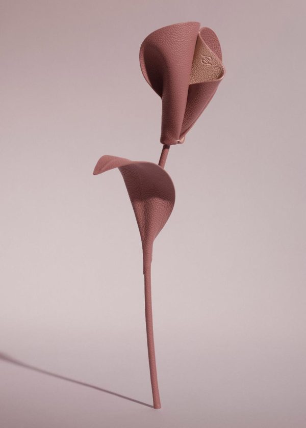 Mowear.shop20a2042645 1