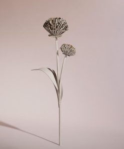 Mowear.shop27f9e8c54e 1