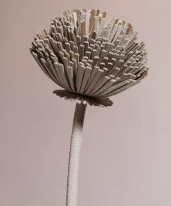 Mowear.shop27f9e8c54e 2