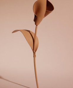 Mowear.shop29cae073ce 1