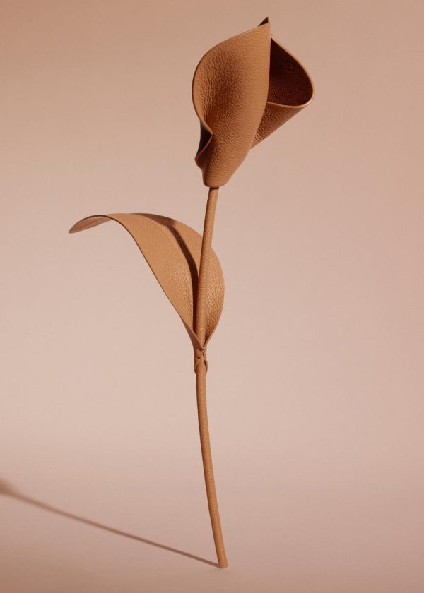 Mowear.shop29cae073ce 1