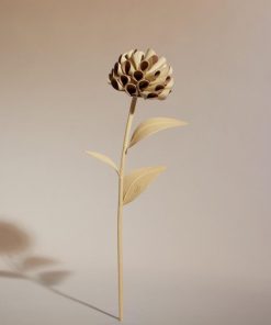 Mowear.shop2c3d26310e 1