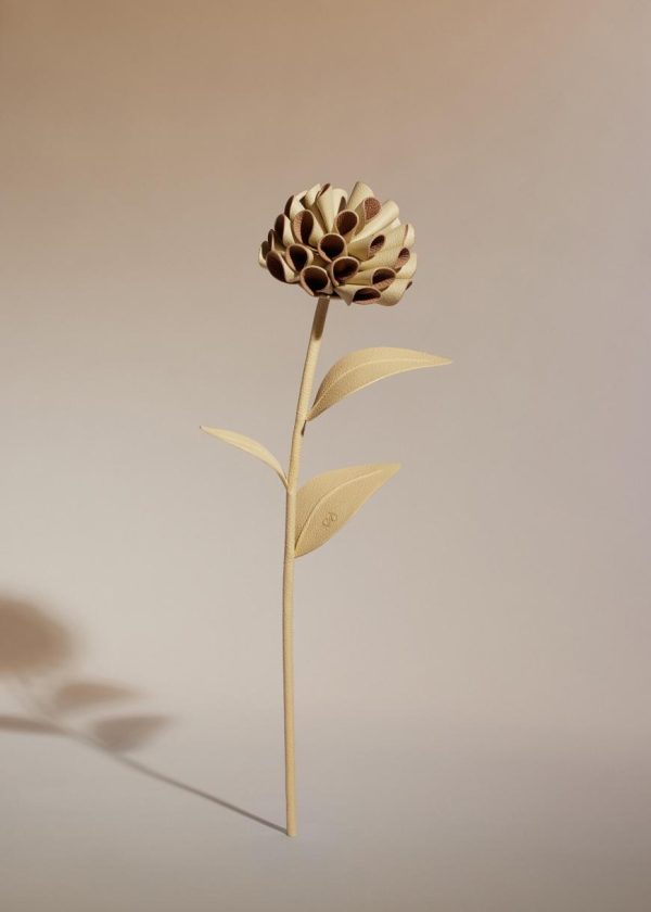 Mowear.shop2c3d26310e 1