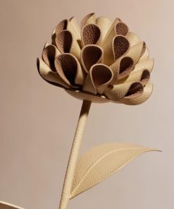 Mowear.shop2c3d26310e 2