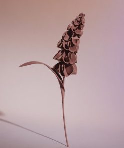 Mowear.shop5457c7bfc4 1