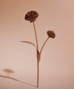 Mowear.shop6f9ee26d33 1