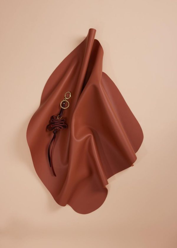 Mowear.shop7abe54e1b3 1