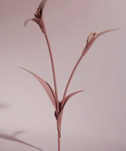 Mowear.shop7c6a50e14a 1