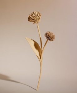 Mowear.shop8254ae90bd 1