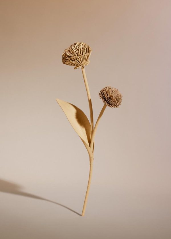 Mowear.shop8254ae90bd 1