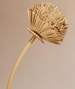 Mowear.shop8254ae90bd 2