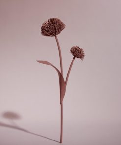 Mowear.shop8e23c31aa6 1