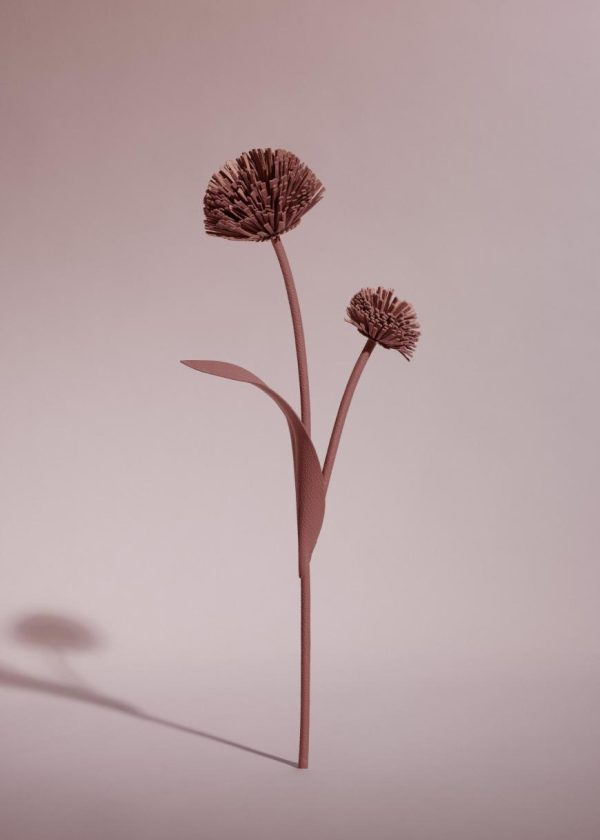 Mowear.shop8e23c31aa6 1