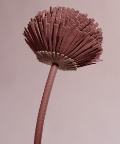 Mowear.shop8e23c31aa6 2