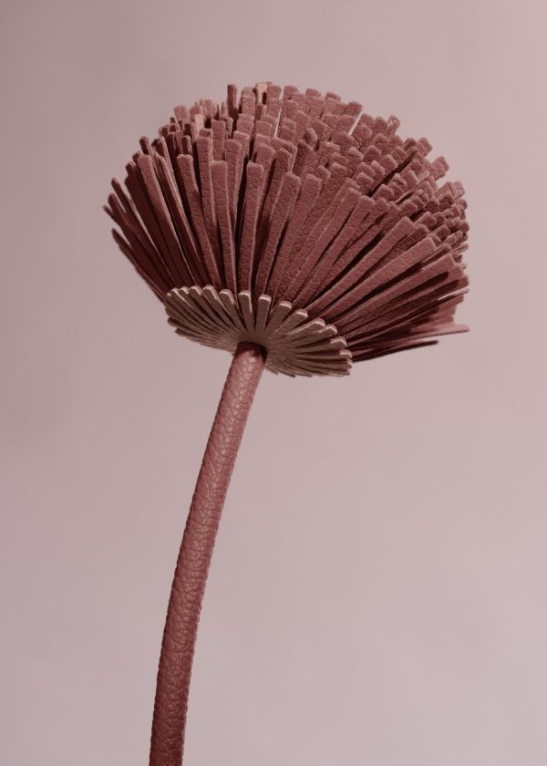 Mowear.shop8e23c31aa6 2