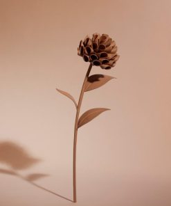 Mowear.shopac748b421b 1