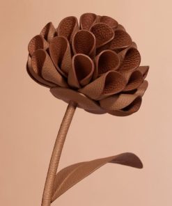 Mowear.shopac748b421b 2