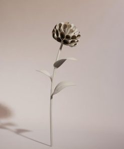 Mowear.shopb491dedff6 1