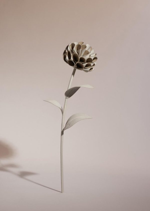 Mowear.shopb491dedff6 1