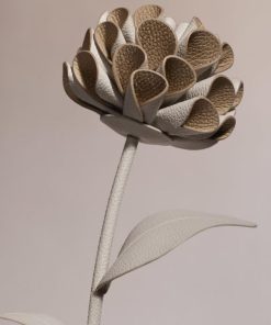 Mowear.shopb491dedff6 2