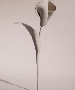 Mowear.shopd5e1950597 1