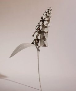 Mowear.shopecad08cfc9 1