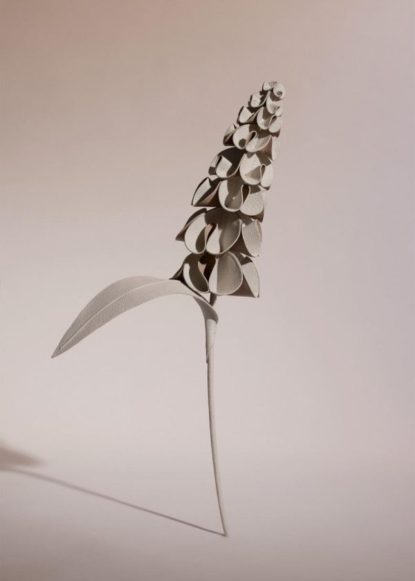 Mowear.shopecad08cfc9 1