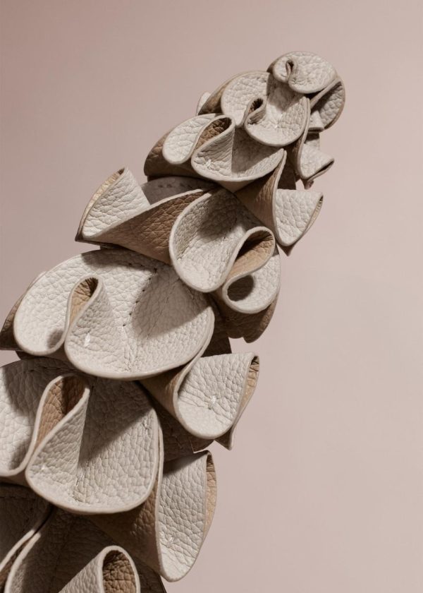 Mowear.shopecad08cfc9 2