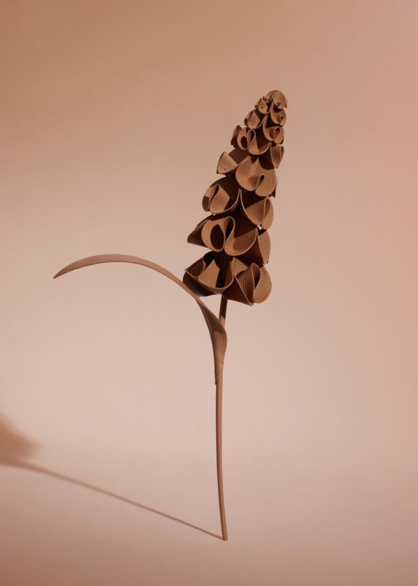 Mowear.shopee13eb60f0 1