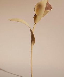 Mowear.shopf25e2bd18a 1