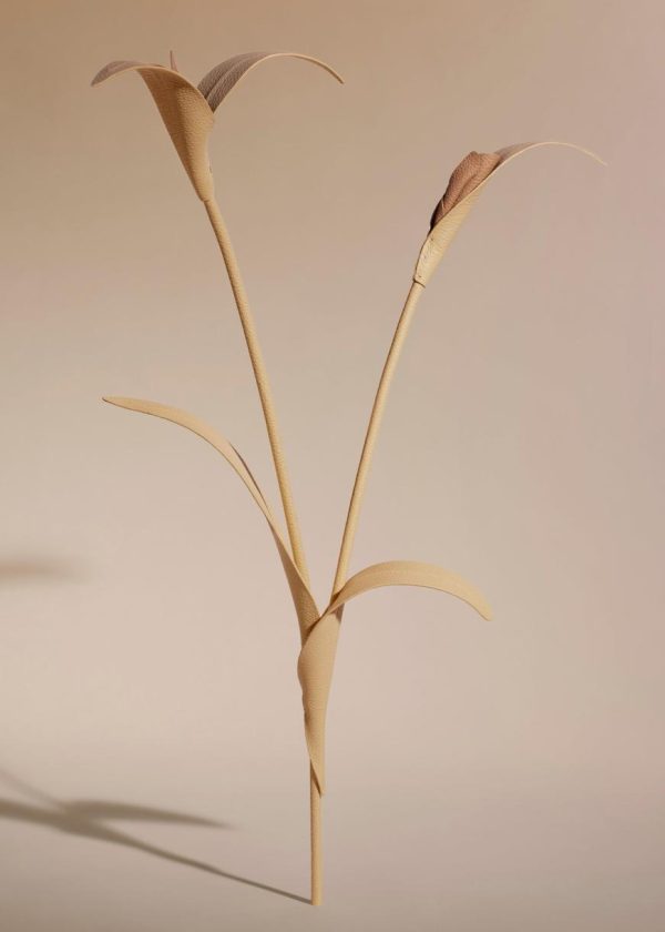 Mowear.shopf6f2d54361 1