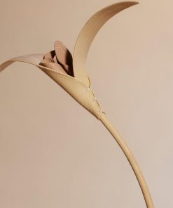 Mowear.shopf6f2d54361 2