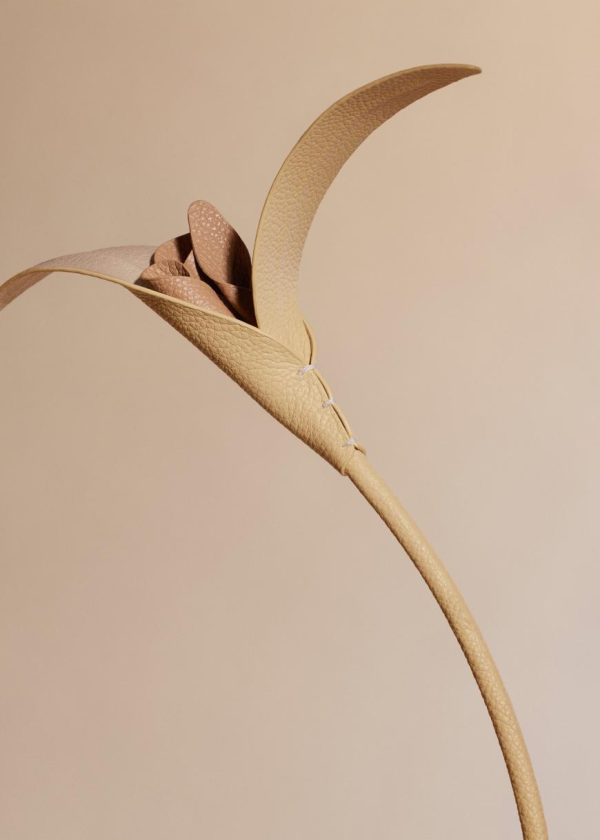 Mowear.shopf6f2d54361 2